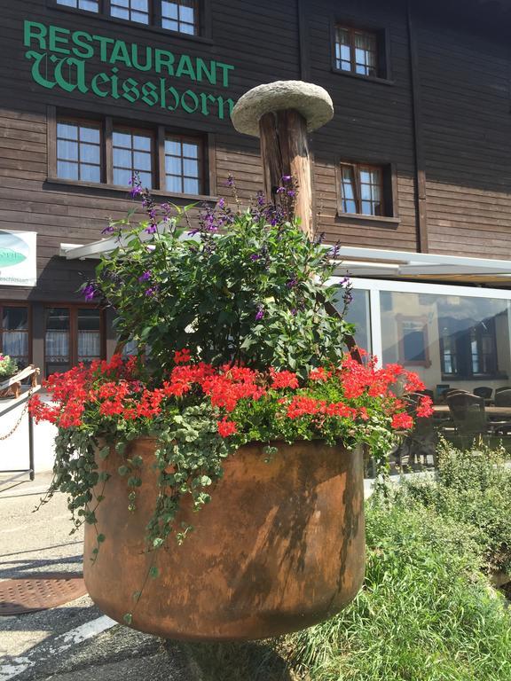 Hotel Weisshorn Goms エクステリア 写真